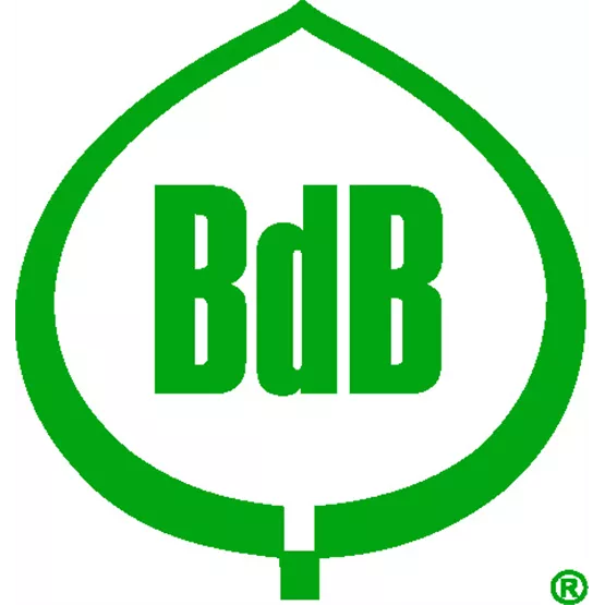 BDB LOGO.jpg